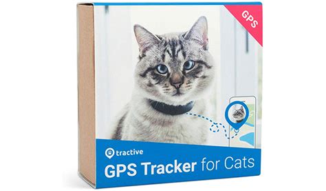 rfid cat tracker|best cat gps tracker 2022.